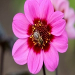 亚马逊社交媒体促销代码是什么-如何创建-