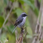 义乌yahoo原生广告