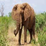 东莞facebook开户