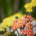 精准营销的主要特点