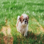 怎样选择facebook优质合作伙伴开户