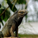 paypal手续费计算方式是什么？