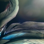 Lazada平台：打造跨境电商新时代