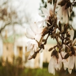 亚马逊上常见的侵权类型