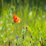 阿里巴巴官网下载安装:一站式电商平台的快速通道