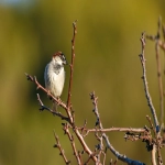 谷歌广告投放代理有哪些
