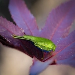 seo工具网站优化
