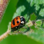 独立站建站平台有哪些