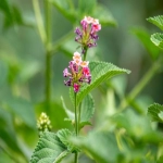 亚马逊退货政策