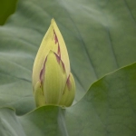 跨境物流的含义