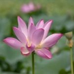 静乐facebook投放代理商