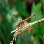 货代怎么找客户?