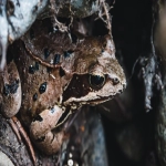 注册ebay对电商发展的影响