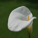 独立站选品有哪些方法和技巧？