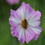 海外仓的发货形式是怎么样的