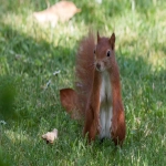 怎么用chatgpt做好跨境电商?