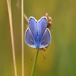 湖南tiktok广告开户