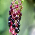 个人如何做跨境电商