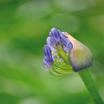 “MOQ”的含义是什么?