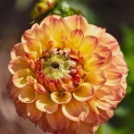 没有版权的图片素材网站