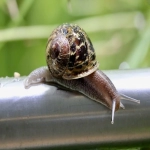 跨境电商无货源模式怎么做