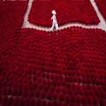 外贸建站推广工作总结怎么写