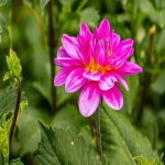 高清图片网站推荐