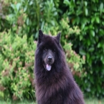 用友erp对电商的机遇