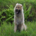 亚马逊德国站分析