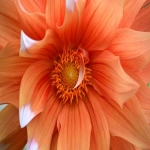 跨境物流SWOT分析及发展战略