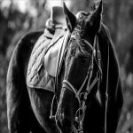 如何使用好亚马逊Seller Central