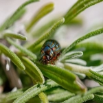 如何通过WhatsApp Messenger实现电商销售业绩的飞跃