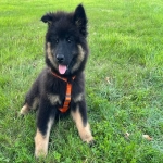 亚马逊西班牙站