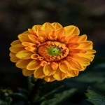 铁路运输的特点