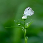 西班牙vat税率是多少，如何计算和缴纳