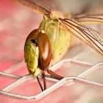 个护家清类目包括哪些