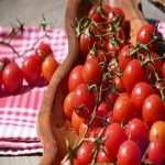 激光脱毛仪器生产厂家