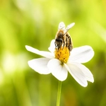 四链是哪四链？