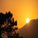 亚马逊卖家的旺季是几月份呢-