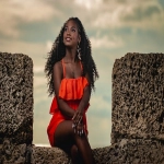 海关是做什么的