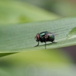 外贸独立站制作