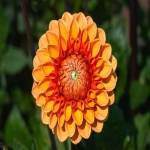 广交会举办日期，