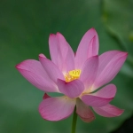 Tiktok端口非企开户