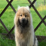 墨西哥亚马逊地区