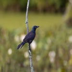 户外用品做好跨境电商的技巧