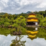 日本购物网站大全