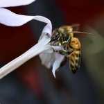 易仓跨境电商ERP系统与其他系统相比有哪些优势