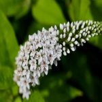 fba配送费收费标准