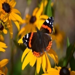 UTM参数解析:网络营销的数据追踪利器