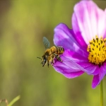 跨境电商ERP哪个好?如何选择?